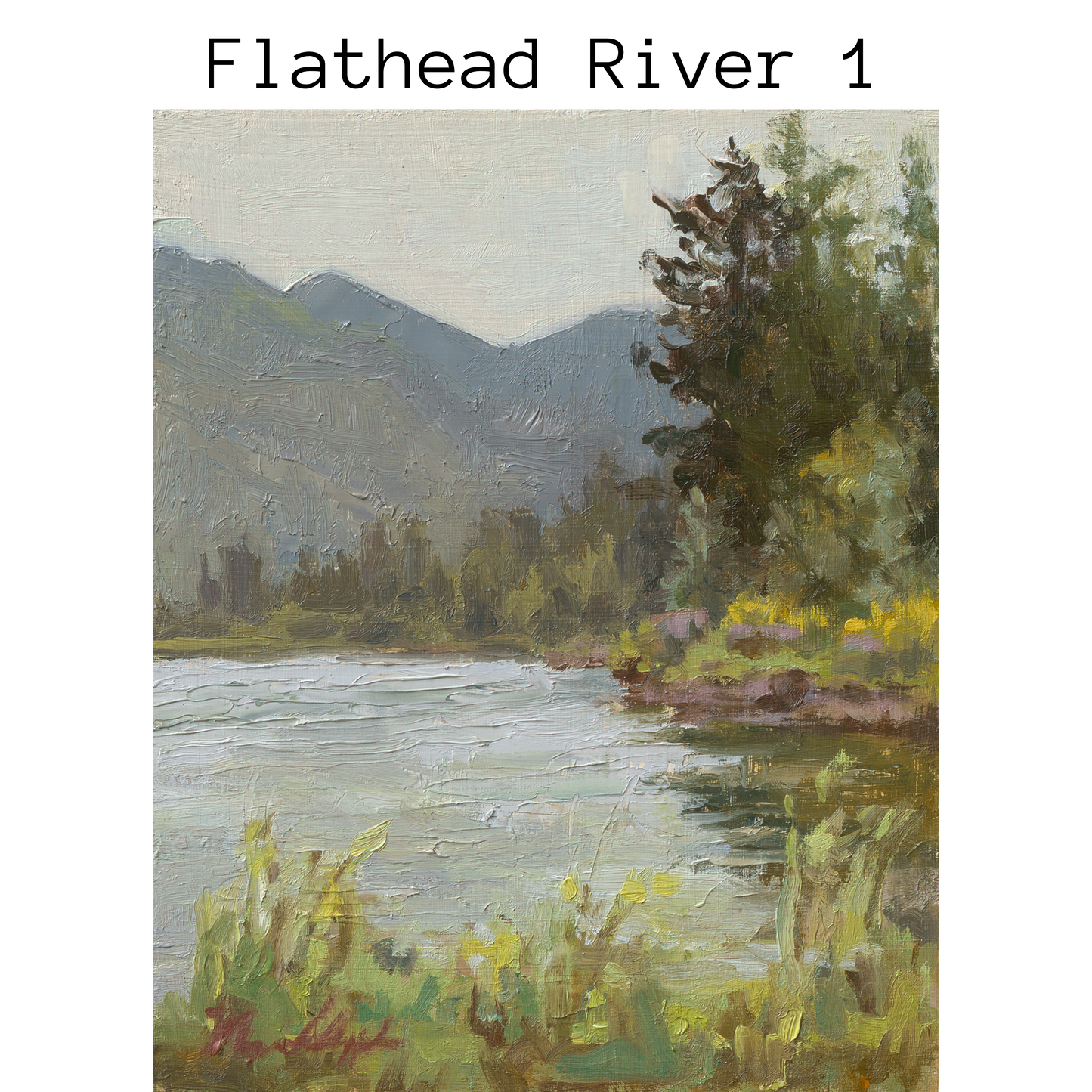 Greeting Cards