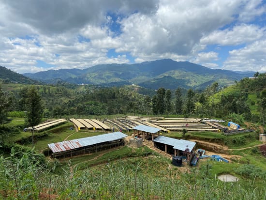 Rwanda - Abadatezuka COOP Single Origin