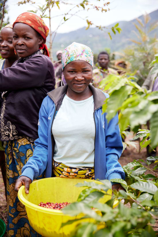 Rwanda - Abadatezuka COOP Single Origin
