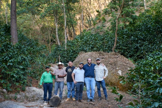 Honduras - FTO Lempira Single Origin