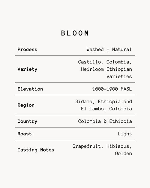 Bloom Blend