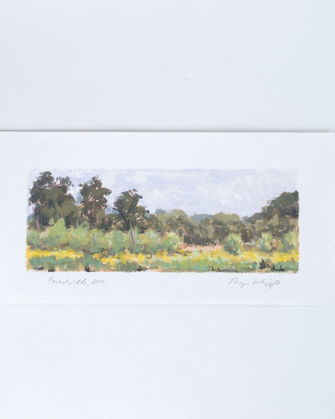 Meadow Gouache