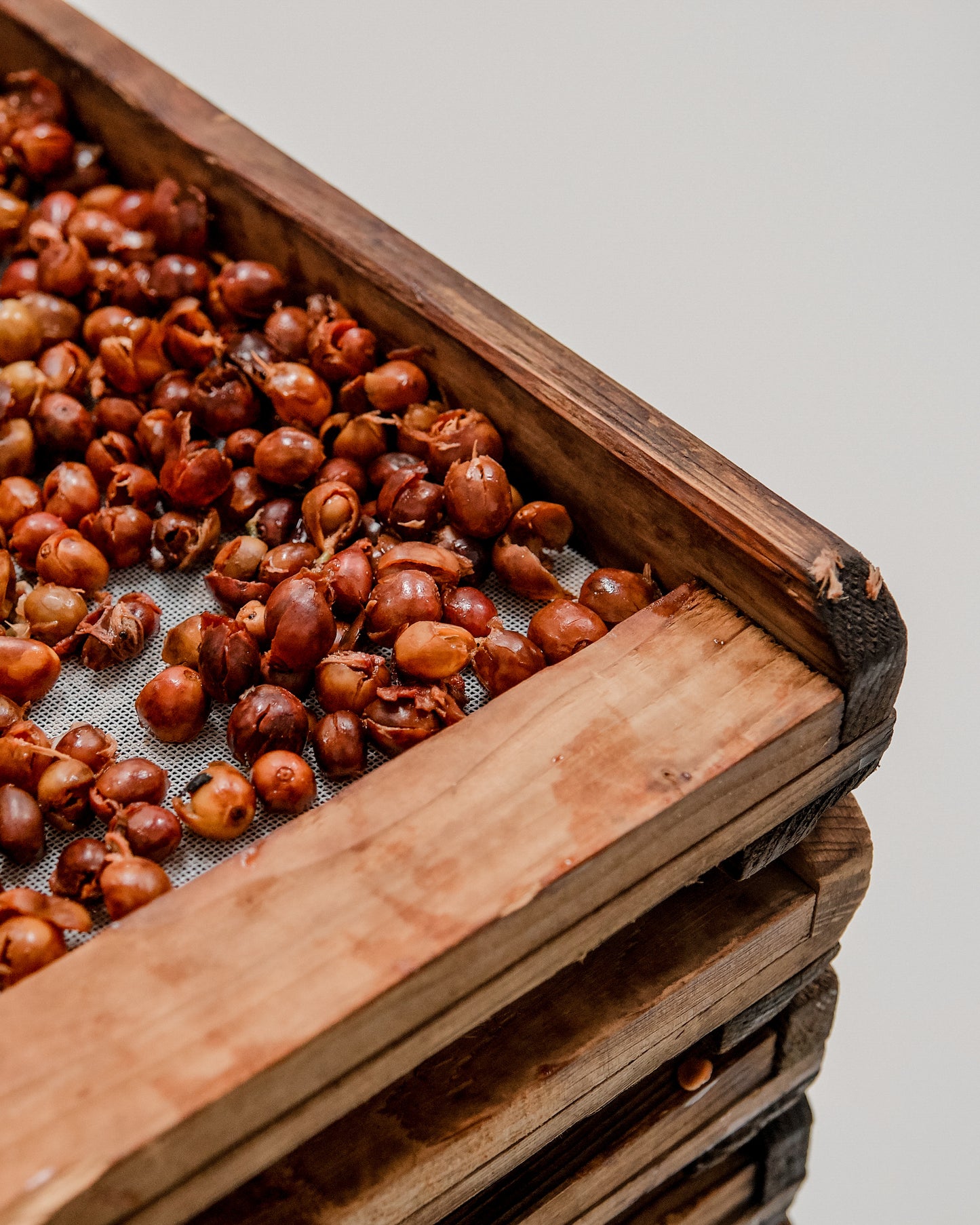 Costa Rican Cascara Tea