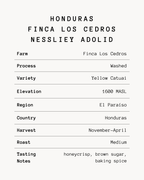 Nessliey Adolid - Honduras