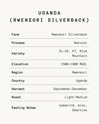 Rwenzori Silverback - Uganda