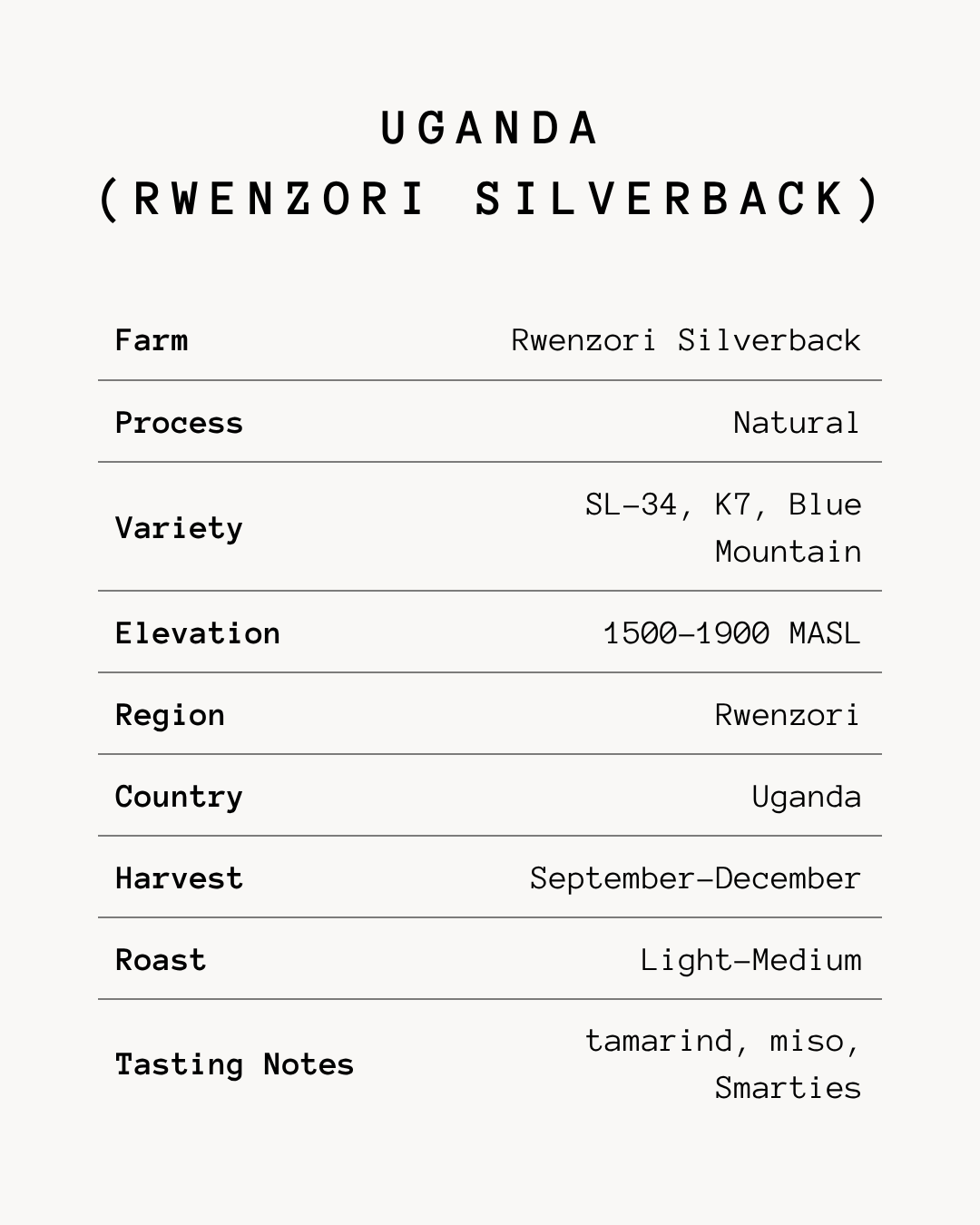 Rwenzori Silverback - Uganda