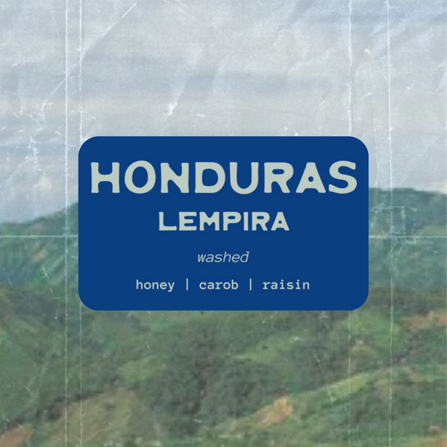 Honduras - Cafes Especiales Corquin